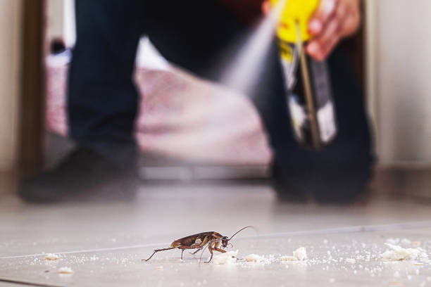 Professional Pest Control in Birch Run, MI